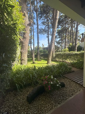 Amplio patio trasero con espacio verde y área de descanso